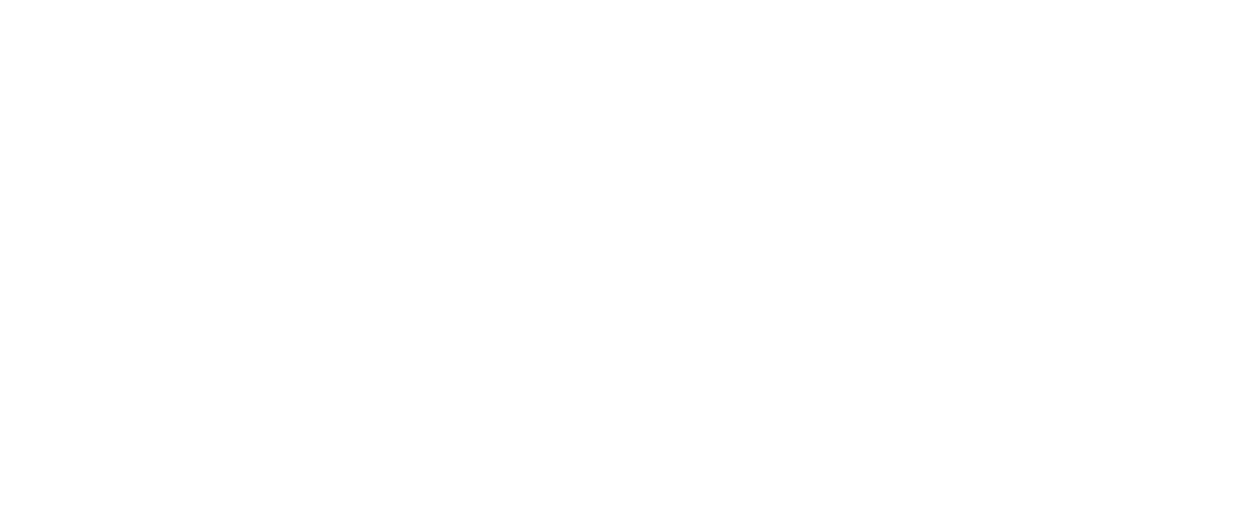 Intouch Insight Logo White-2